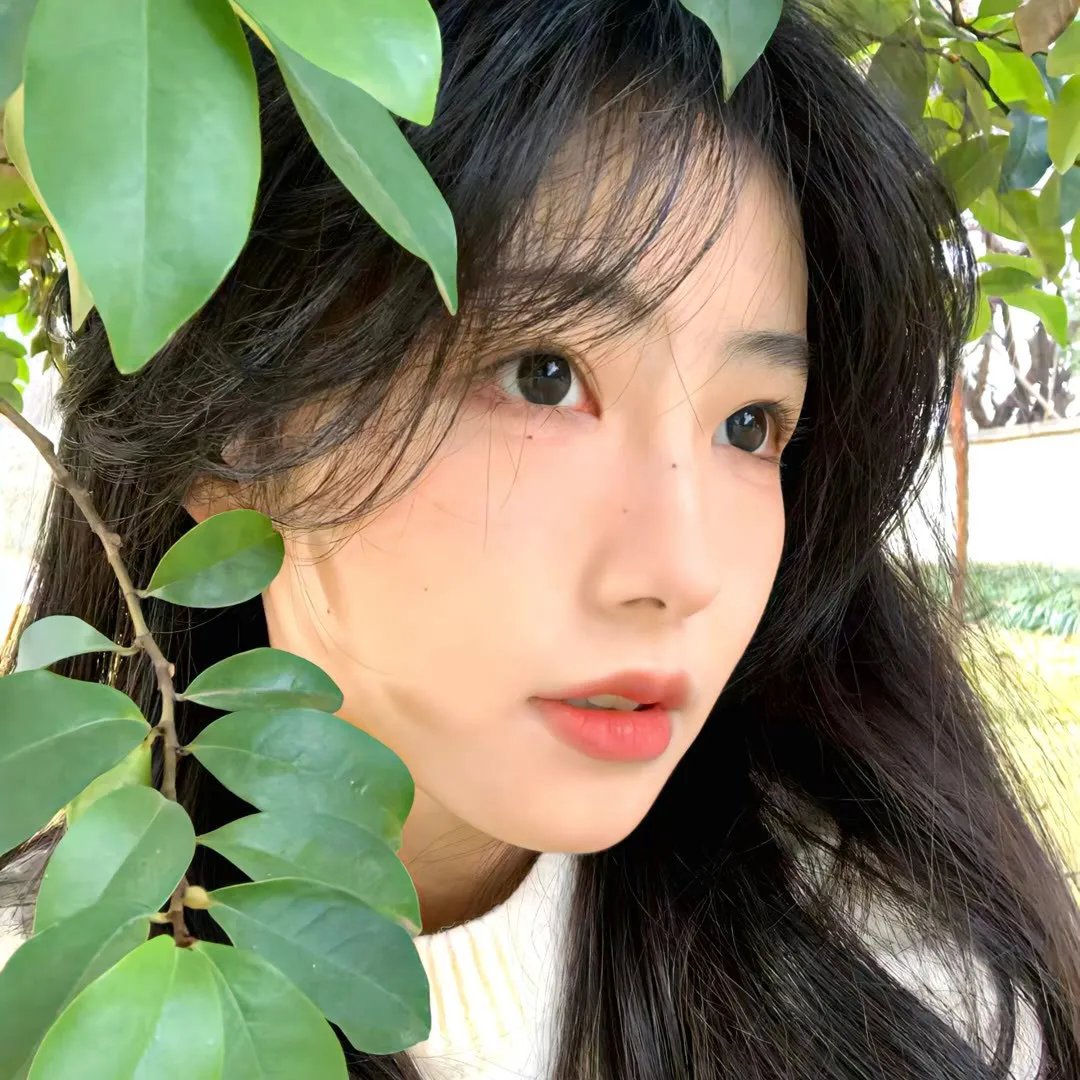 长安的荔枝